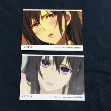 citrus 사브로 우타 특전 브로마이드 2장 세트 메이