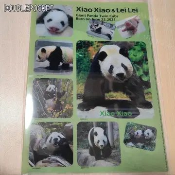 더블 포켓 온시 우에노 동물원 샤오샤오 레이레이 클리어 파일