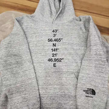 THE NORTH FACE 그레이 후드 부착 후드티 M 사이즈