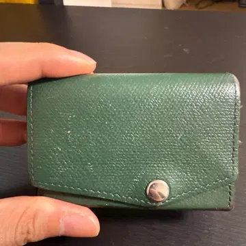 아브라사스 작은 지갑 그린