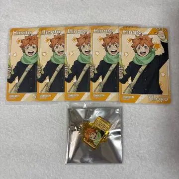 하이큐 코스모 월드 미니게임 히나타