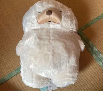 못쿤 곰 봉제 인형