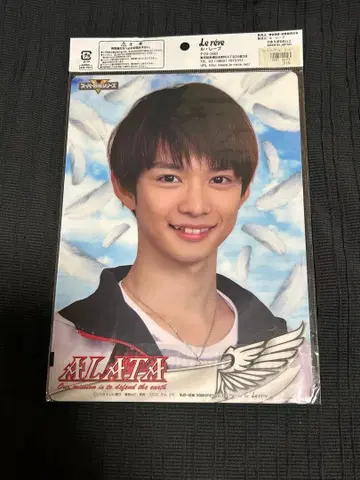 천장전대 고세이저 치바 유다이 고세이 레드 아라타 리버서블 책받침