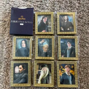 전 종류 Harry Potter 초상화 마그넷 컬렉션