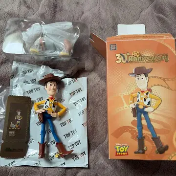 토이 스토리 시크릿 30주년 기념