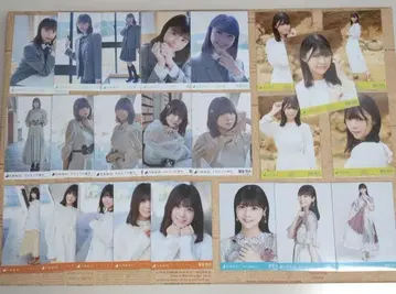 노기자카46 토미사토 나오 브로마이드 23장 일괄