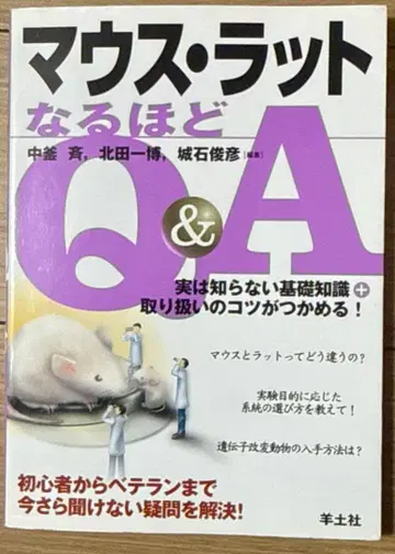 마우스 랫츠 될 리가 Q&A