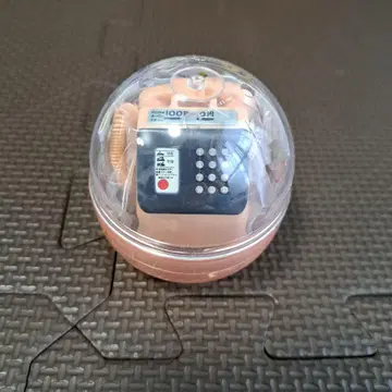 NTT 공중전화 가챠 컬렉션 오렌지