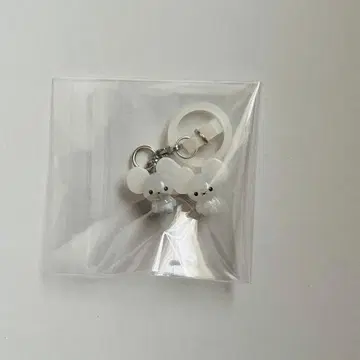 포켓몬 메지루시 액세서리 와카네즈미