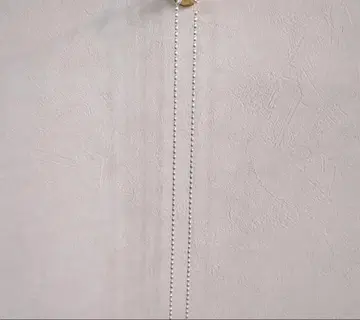 리틀 라군 중 라이스 체인