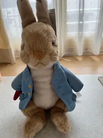 피터래빗 봉제 인형 파란색 자켓 약 30cm
