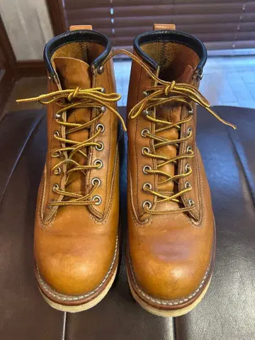 레드윙 2904 라인맨 8 1/2