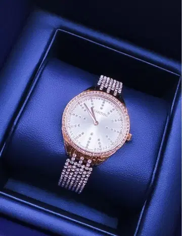 스와로브스키 시계