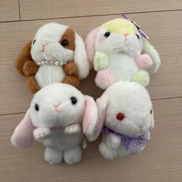 포테우사 롯삐 4마리 묶음 판매