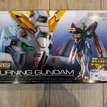 RG 1/144 기동무투전 G 건담 갓건담