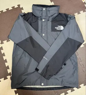 THE NORTH FACE 마운틴 레인텍스 L 사이즈