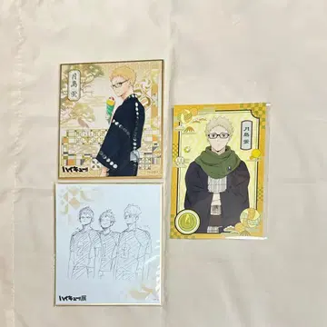 하이큐!! 하이큐전 츠키시마 케이 색지 엽서