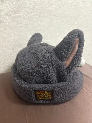 디즈니씨 피터팬 잃어버린 아이들 팬캡