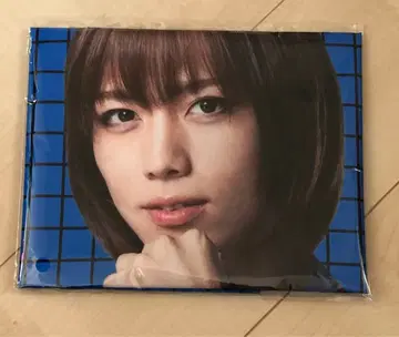 미개봉 테니스의 왕자님 4th 청학 vs 히가 빅 깃발 후지 슈스케