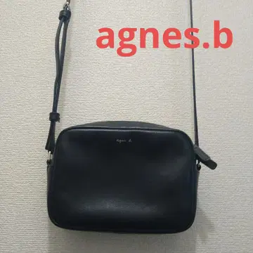 애니에스 베이 가죽 숄더백