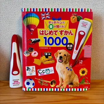 처음 배우는 그림책 1000 영어