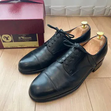 레유카스 캡토 외날 네이비