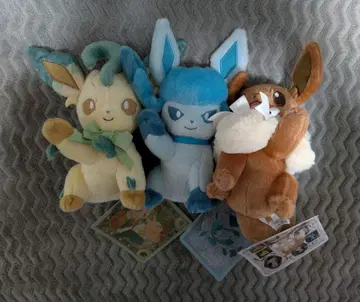 봉제 인형 Eevee Collection 이브이 글레이시아 리피아