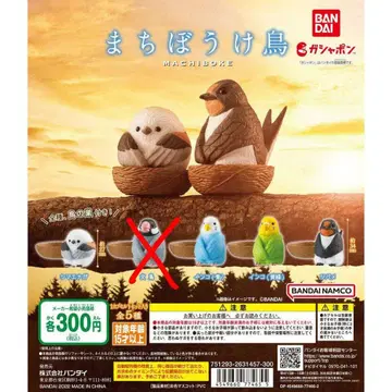 기다림 새 시리즈 4종!