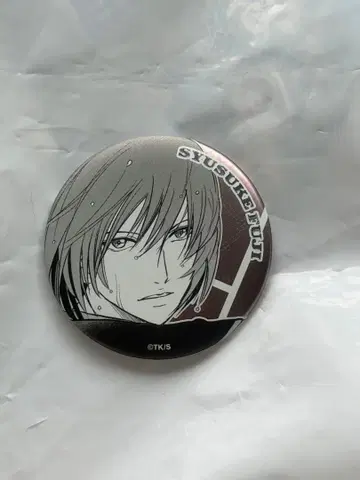 신 테니스의 왕자님 테니프리 데 컬렉션 캔뱃지 점페스 후지