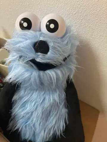 순순 공식 봉제 인형 본체