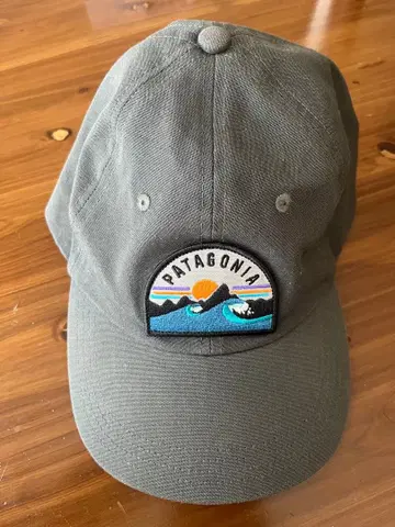 Patagonia 그레이 캡