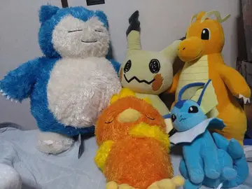 포켓몬 포켓몬스터 Pokemon 봉제 인형 묶음 판매 5세트