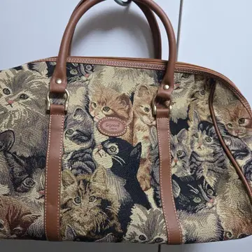 Signare 고양이 패턴 보스턴 백