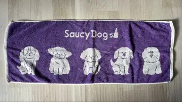 Saucy Dog 타월