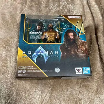 아쿠아맨 S.H.Figuarts 피규아트