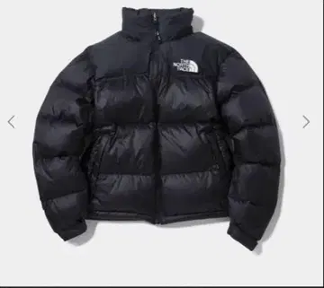 THE NORTH FACE 1996 ECO NUPTSE 다운 xs