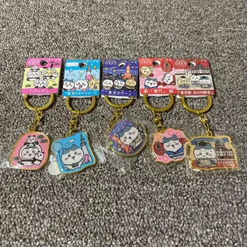 치이카와 키링 도쿄 하치와레