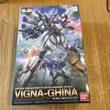 RE1/100 비기나기나