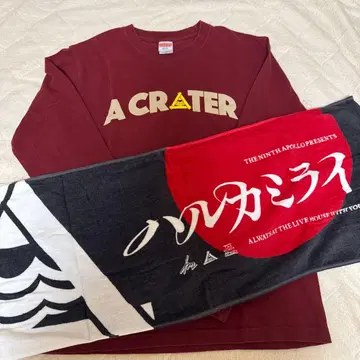 하루카미라이 무도관 한정판 롱 T 타월 세트