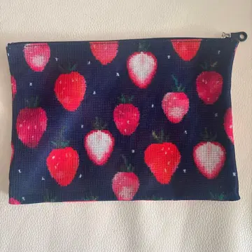 페이 메쉬 파우치