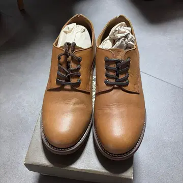 CAMINANDO for JOURNAL STANDARD 가죽 신발