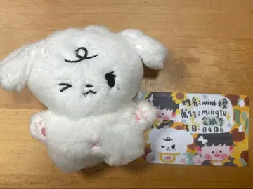 민규 봉제 인형 10cm 마스터 출생증 포함