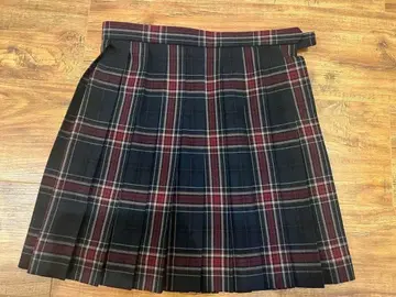 arCONOMi 학생 체크 무늬 플리츠 스커트 W69