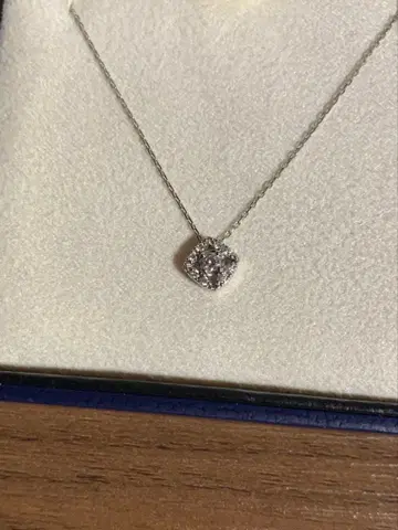 반돔 아오야마 플라티나 목걸이