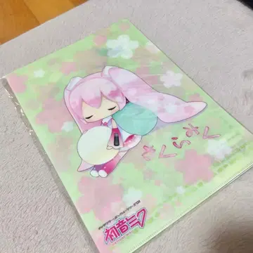 사쿠라 미쿠 클리어 파일 3장 세트