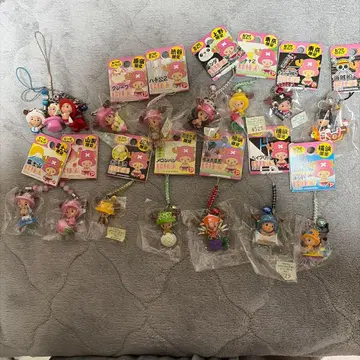 지역 한정 초파 관동