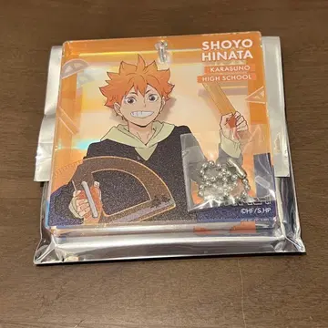 하이큐 히나타 쇼요 BIG 오로라 블로키 쇼와노트 복권