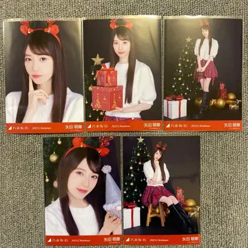 노기자카46 야타 모에카 브로마이드 크리스마스 2025