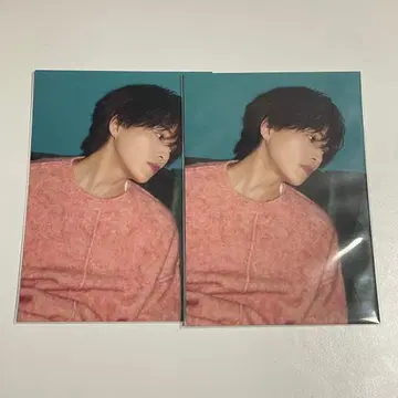 야기 유세이 쭉쭉 트레이딩 카드