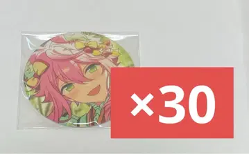 히메미야 토리 앙스타 테마 스카우트 캔뱃지 30개